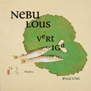 Nebulous Vertigo-9781961209183