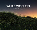 While We Slept-9781961856141