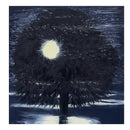 Ann Craven: Night-9781961883161