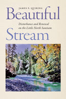 Beautiful Stream