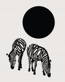 Wool Moon