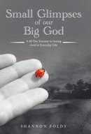 Small Glimpses of Our Big God : A 60 Day Journey to Seeing God in Everyday Life-9781973619246