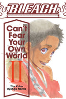 Bleach: Can''t Fear Your Own World, Vol. 2