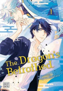 Dragon's Betrothed, Vol. 1-9781974734153