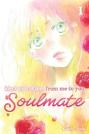 Kimi ni Todoke: From Me to You: Soulmate, Vol. 1-9781974743742