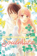 Kimi ni Todoke: From Me to You: Soulmate, Vol. 2-9781974746095
