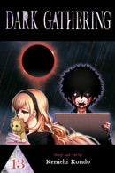 Dark Gathering, Vol. 13-9781974754878