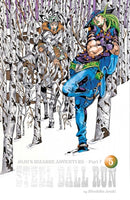 JoJo''s Bizarre Adventure: Part 7--Steel Ball Run, Vol. 5
