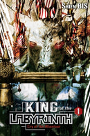 King of the Labyrinth, Vol. 1 (light novel)-9781975317263