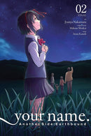your name. Another Side:Earthbound, Vol. 2 (manga)-9781975359638