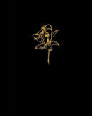 I Wanted to Be the Knife-9781988355009