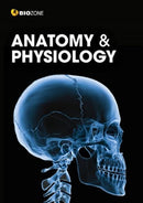 Anatomy and Physiology-9781991014085