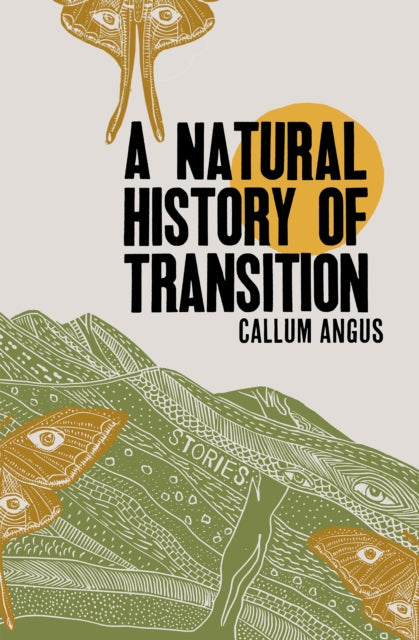 A Natural History Of Transition : Stories-9781999058876