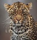 Remembering Leopards