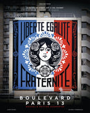 Boulevard Paris 13 : The Open-Air Street Art Museum-9782226494801