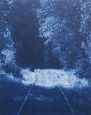 Ecstatic Nature-9782369620198