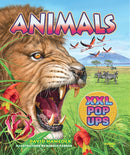 Animals XXL pop-ups-9782889754274