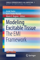 Modeling Excitable Tissue : The EMI Framework-9783030611569