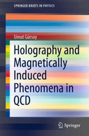 Holography and Magnetically Induced Phenomena in QCD-9783030795986