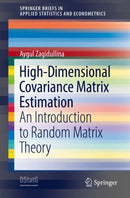 High-Dimensional Covariance Matrix Estimation : An Introduction to Random Matrix Theory-9783030800642