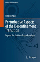 Perturbative Aspects of the Deconfinement Transition : Beyond the Faddeev-Popov Paradigm-9783031113741