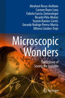 Microscopic Wonders : The Science of Seeing the Invisible-9783031925580