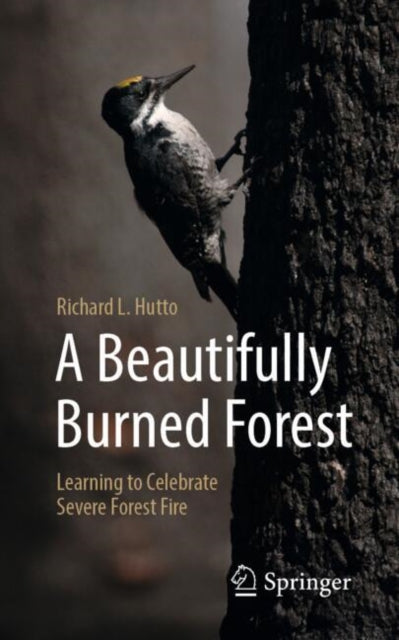 A Beautifully Burned Forest : Learning to Celebrate Severe Forest Fire-9783032031792