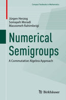 Numerical Semigroups : A Commutative Algebra Approach-9783032054234