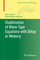 Stabilization of Wave-Type Equations with Delay or Memory