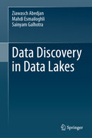 Data Discovery in Data Lakes