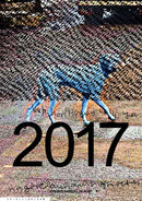 Katja Novitskova: Ringier 2017-9783037645406