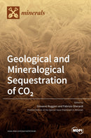 Geological and Mineralogical Sequestration of CO2-9783039368761
