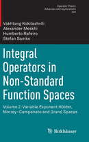 Integral Operators in Non-Standard Function Spaces