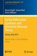 Partial Differential Equations and Geometric Measure Theory : Cetraro, Italy 2014-9783319740416