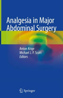 Analgesia in Major Abdominal Surgery-9783319944807