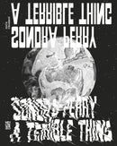 Sondra Perry: A Terrible Thing