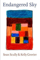 Endangered Sky: Sean Scully & Kelly Grovier-9783775754859