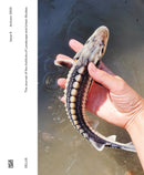 DELUS: Issue 0 : The Journal of the Institute of Landscape and Urban Studies-9783775756365
