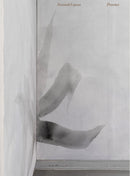 Dominik Lejman. Presence