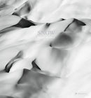 Snow : Peter Mathis-9783791386492