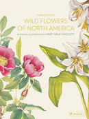 Wild Flowers of North America : Botanical Illustrations by  Mary Vaux Walcott-9783791388892