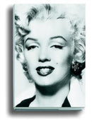 Silver Marilyn : Marilyn and the Camera-9783829609524