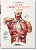 Bourgery