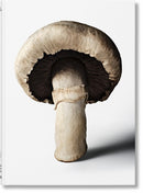 Gourmand''s Mushroom