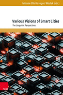 Various Visions of Smart Cities