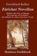 Zuricher Novellen (Gro?druck)-9783847845409