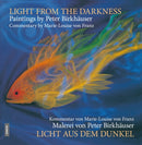 Licht aus dem Dunkel / Light from the Darkness : Malerei von Peter Birkhauser / Paintings by Peter Birkhauser-9783856307981