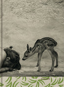 Summer of the Fawn-9783868288957