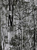 Bucherwald-9783905999785