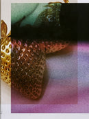 Paradise Paradoxe : Paradise Paradoxe-9783906803012